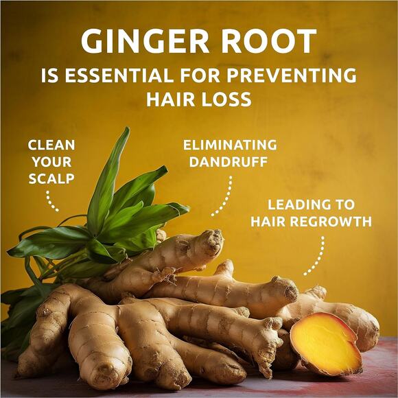 GINGER ROOT Shampoo Bar and Conditioner Bar for Hair Growth - Picture 7 of 12